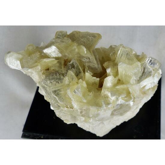 Muscovite