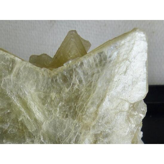 Muscovite