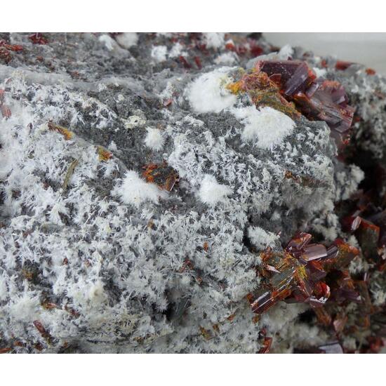 Picropharmacolite & Realgar