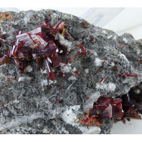 Picropharmacolite & Realgar