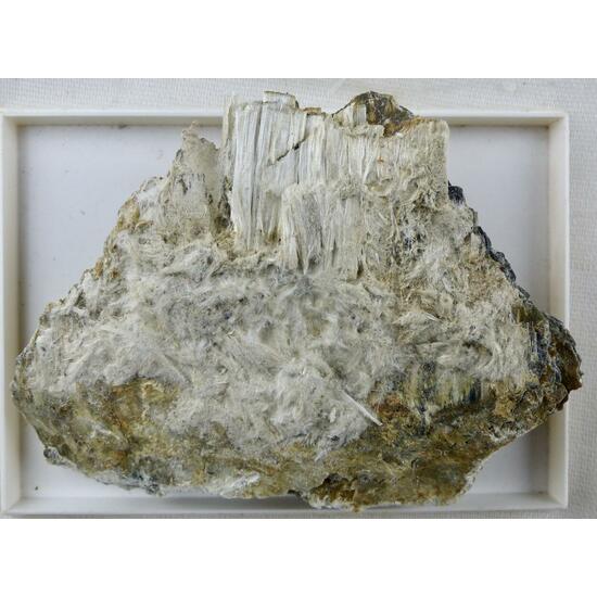 Chrysotile