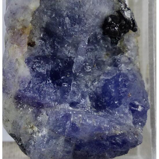 Tanzanite