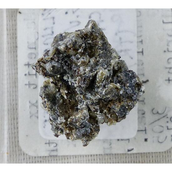 Magnetite & Leucite & Melilite & Apatite