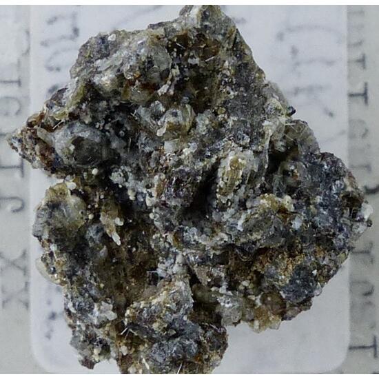 Magnetite & Leucite & Melilite & Apatite