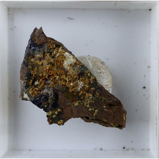 Cacoxenite & Wavellite