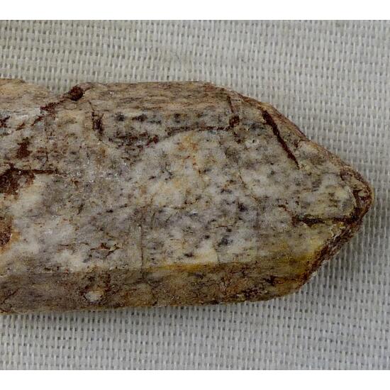 Tremolite Psm Diopside