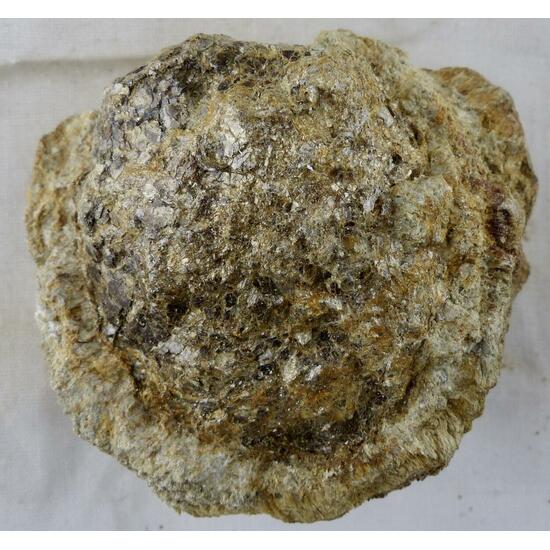 Anthophyllite & Phlogopite