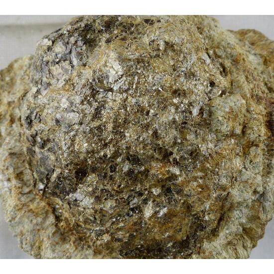 Anthophyllite & Phlogopite