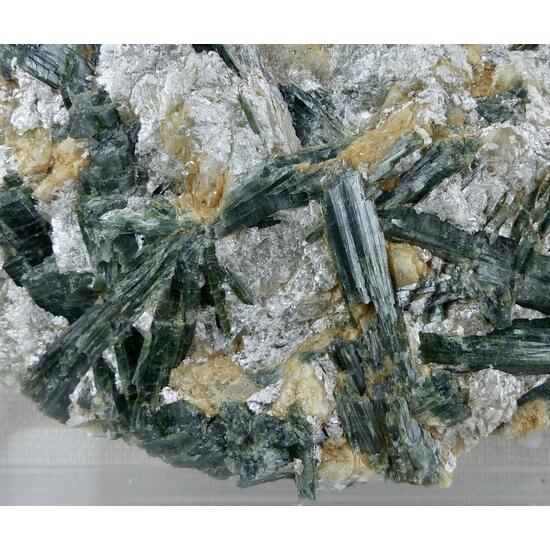 Actinolite