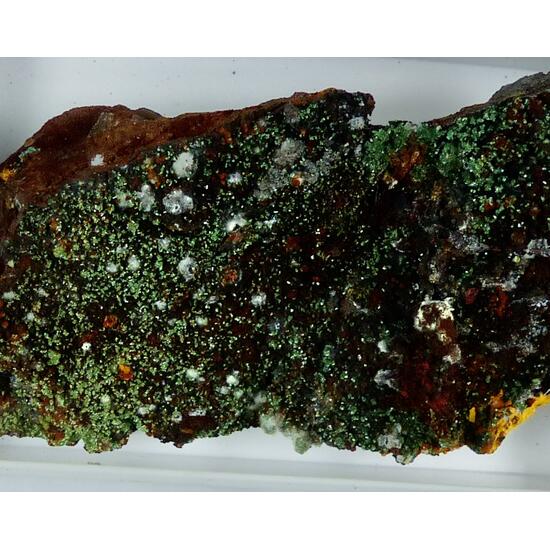 Agardite & Adamite