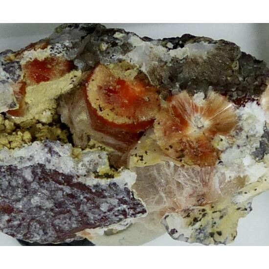 Ferrierite-Mg & Heulandite & Montmorillonite