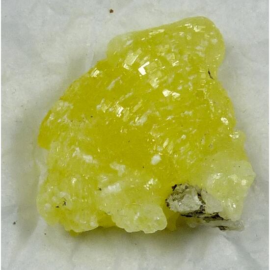 Brucite