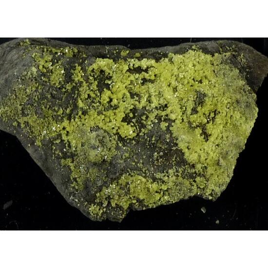 Native Sulphur