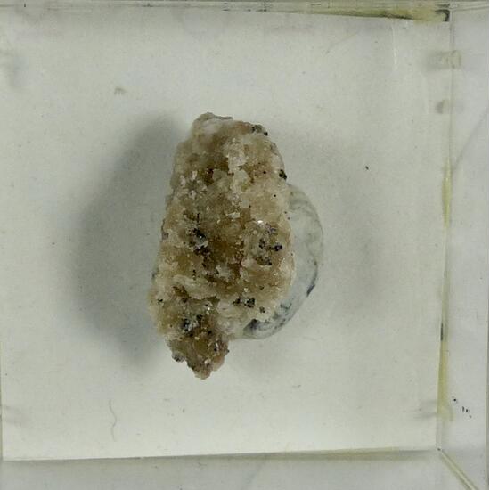 Zirconolite On Zircon