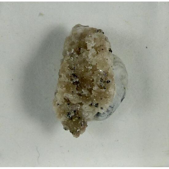 Zirconolite On Zircon