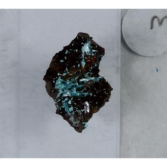 Aurichalcite & Rosasite