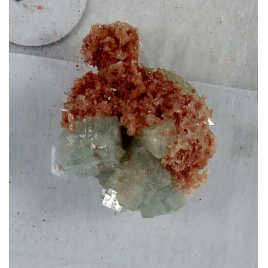 Boracite & Hilgardite