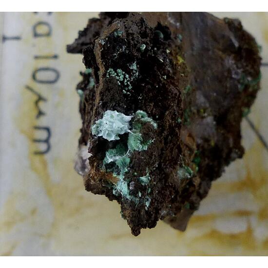 Agardite-(Y) & Malachite