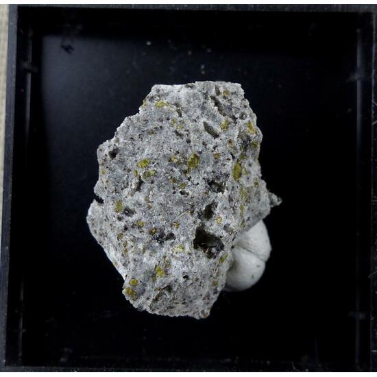 Armalcolite-Pseudobrookite Series & Fluorophlogopite