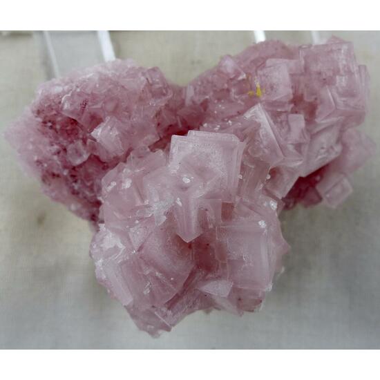 Halite