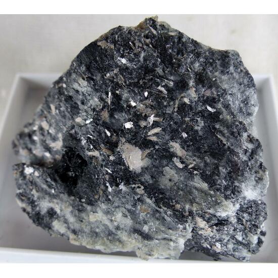 Murmanite