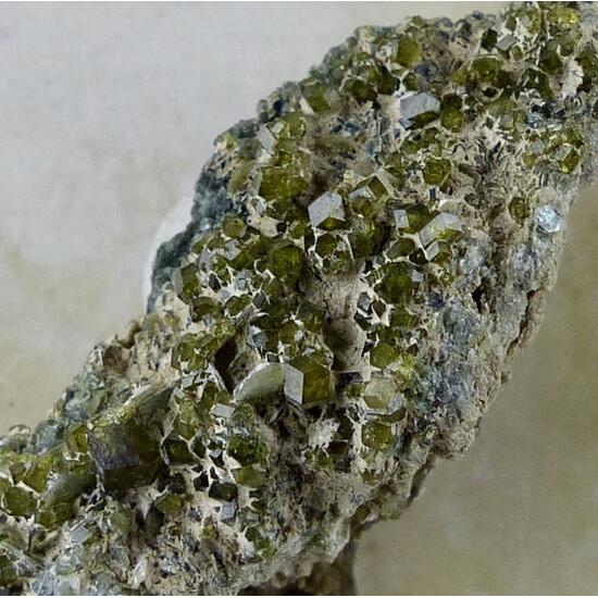 Andradite & Clinochlore