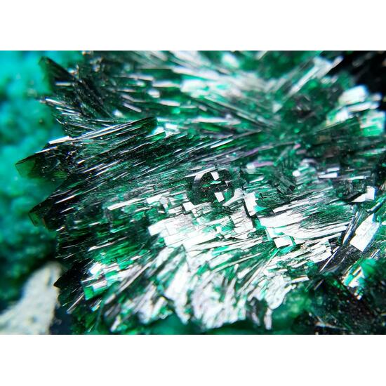 Atacamite & Halloysite & Chrysocolla