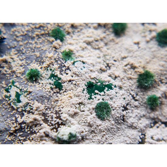 Atacamite & Halloysite