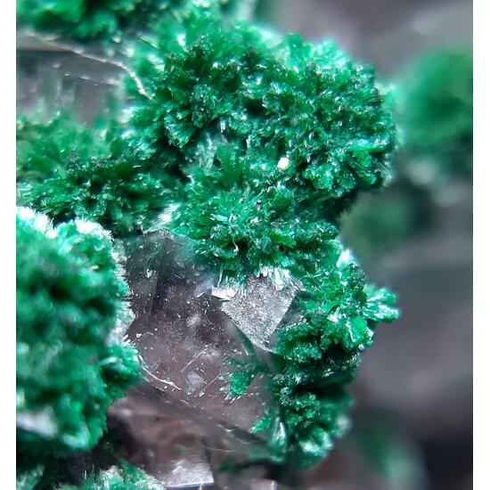 Malachite & Dolomite
