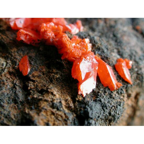 Crocoite