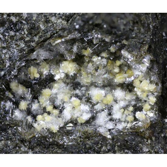 Truscottite & Thomsonite