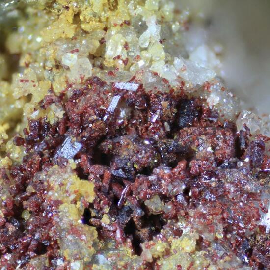 Sewardite & Carminite