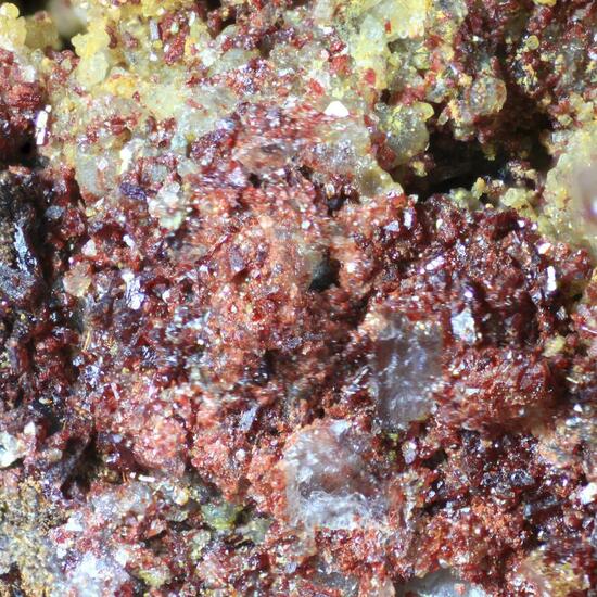 Sewardite & Carminite