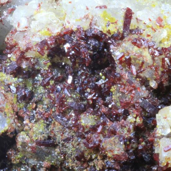 Sewardite & Carminite