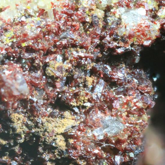 Sewardite & Carminite