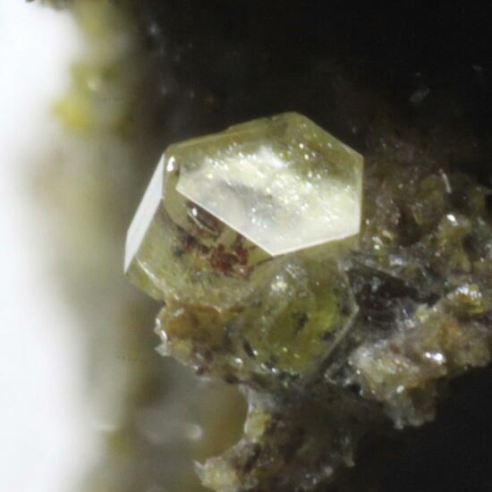 Roedderite