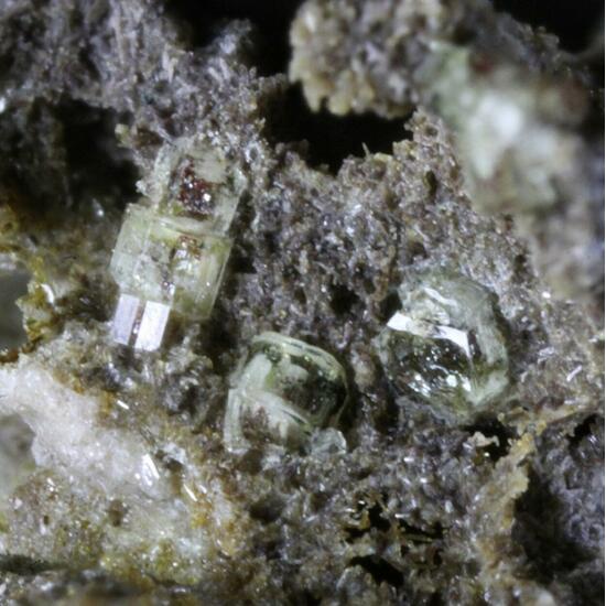 Roedderite