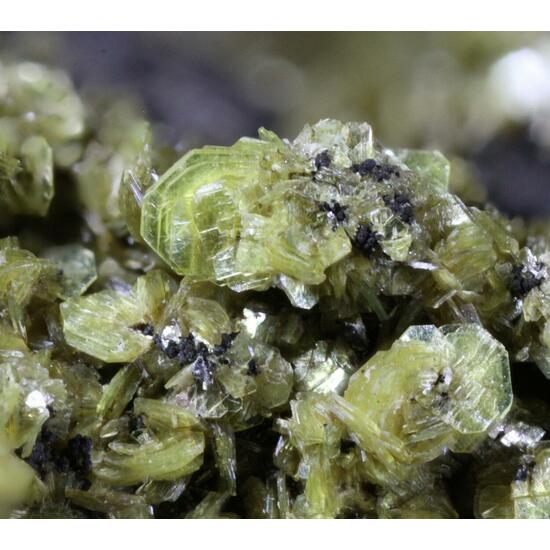 Autunite