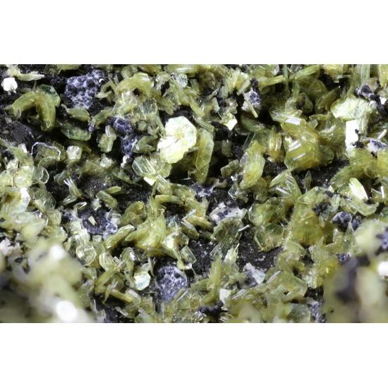 Autunite