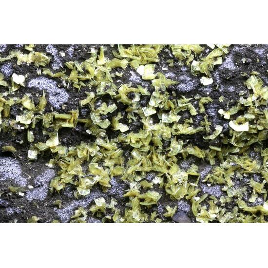 Autunite