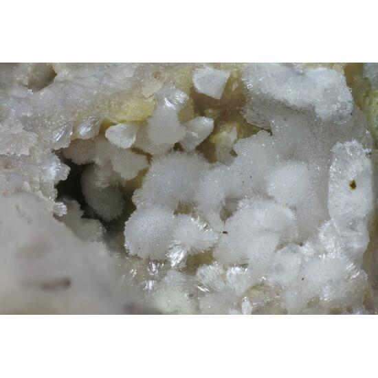 Carbonate-rich Hydroxylapatite