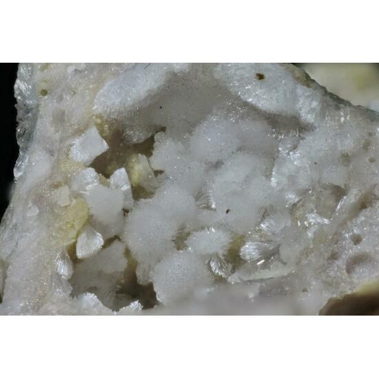 Carbonate-rich Hydroxylapatite