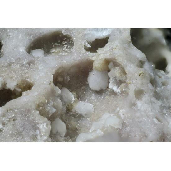 Carbonate-rich Hydroxylapatite