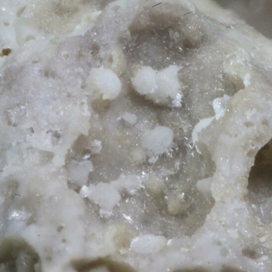 Carbonate-rich Hydroxylapatite