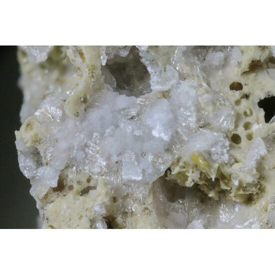 Carbonate-rich Hydroxylapatite