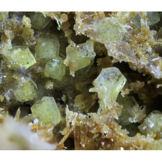 Roedderite
