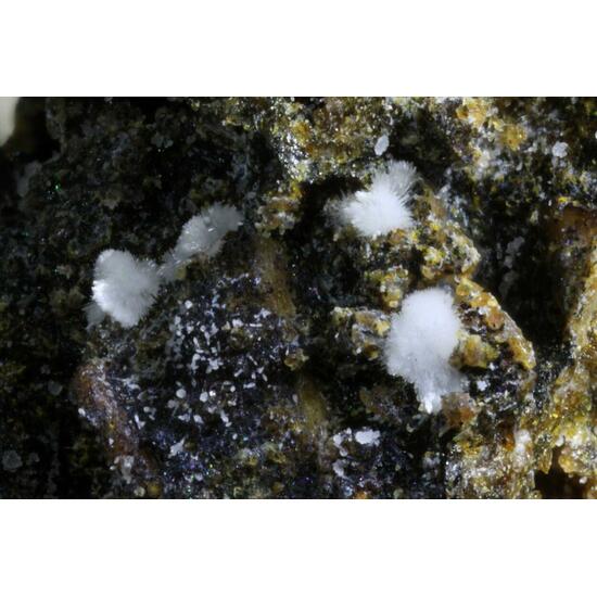 Carbonate-rich Hydroxylapatite