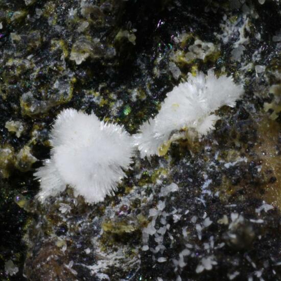 Carbonate-rich Hydroxylapatite