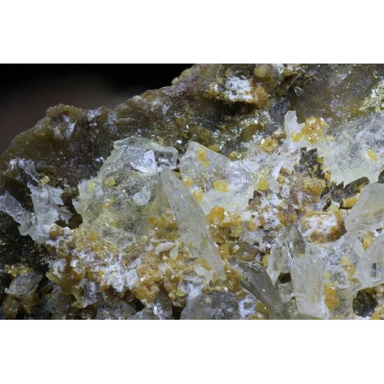 Whewellite
