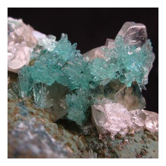 Apophyllite